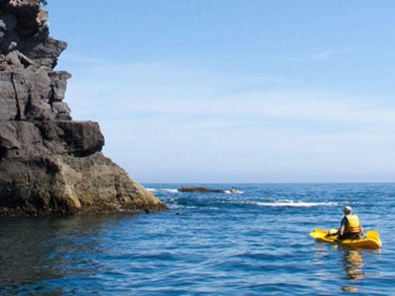 Whakatane Hotel Dış mekan fotoğraf